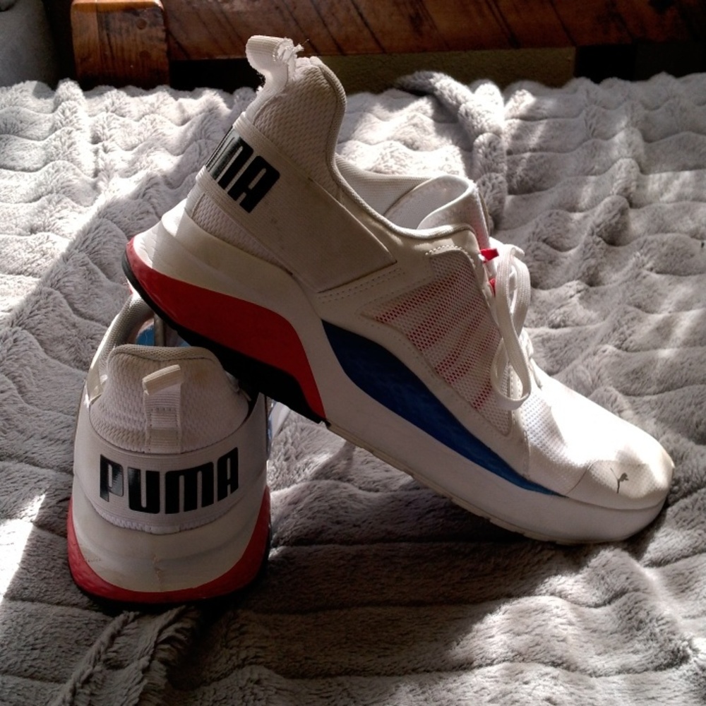Puma - Picture 3 of 4